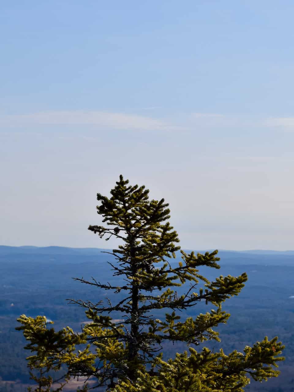 Evergreen team at work